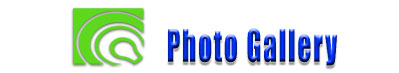 Southcoast Greenlight Photo Gallery